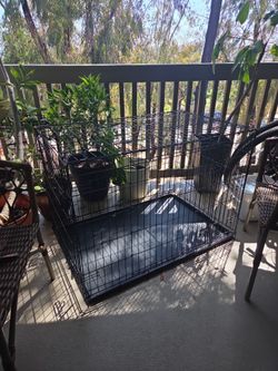 Large Dog Crate