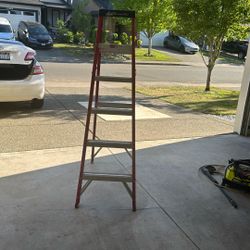 6ft Ladder 