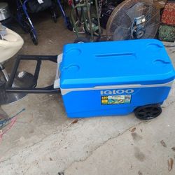 Big Igloo Cooler Party Ready 