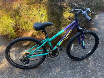 24” bike (Nishiki)