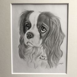 Custom Portraits Drawn 