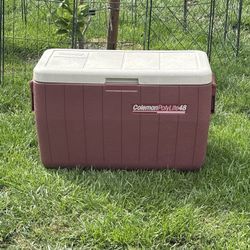 COLEMAN ICE CHEST,COOLER