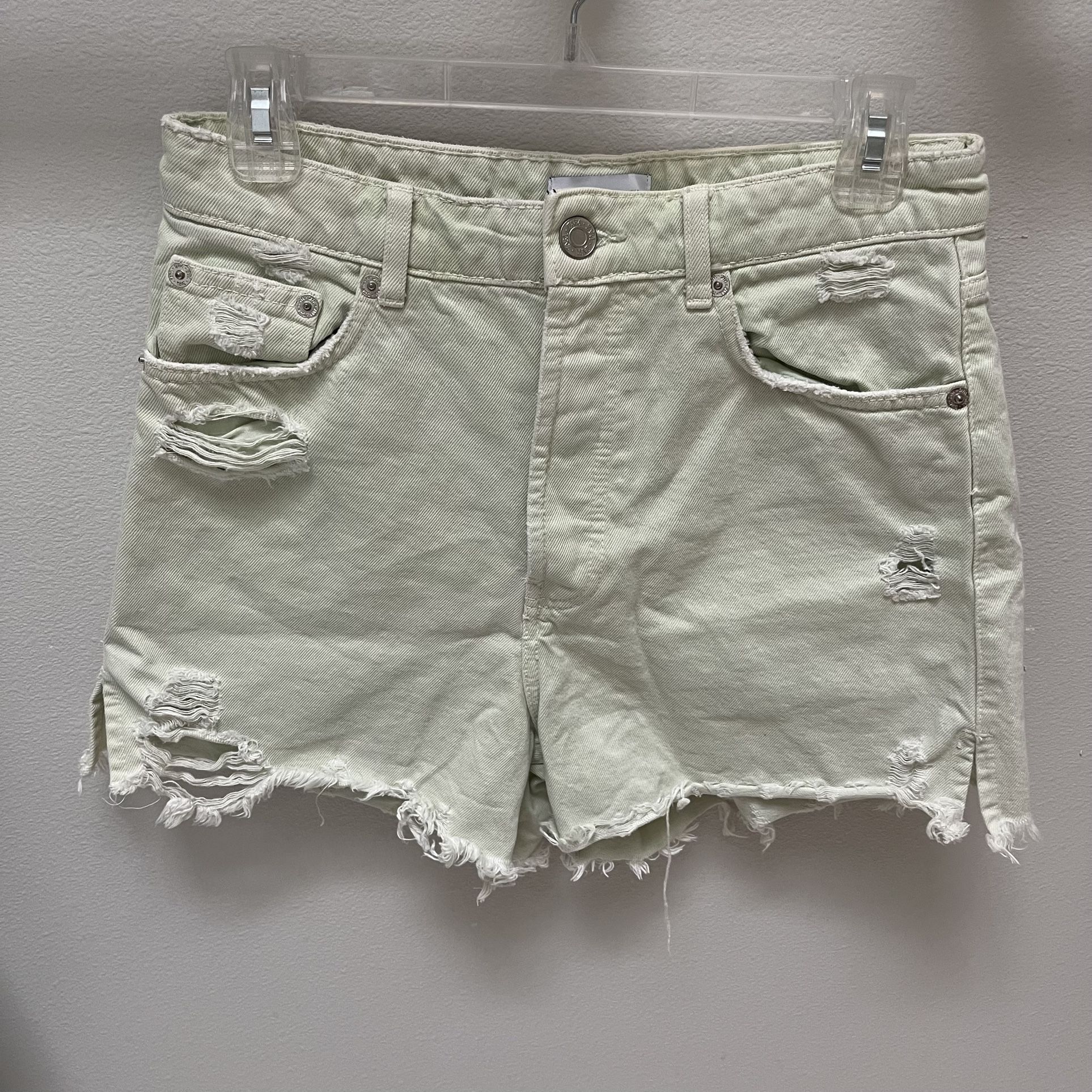 Size 6 Zara Mom Shorts