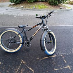 Rad Power Bikes Radrover Bike 2 Batteries 