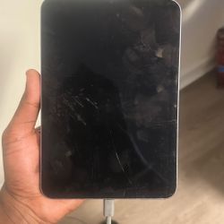 SERIOUS BUYERS ONLY -iPad Mini 6 (2021) — Turns On — Touch Works — Screen Damaged