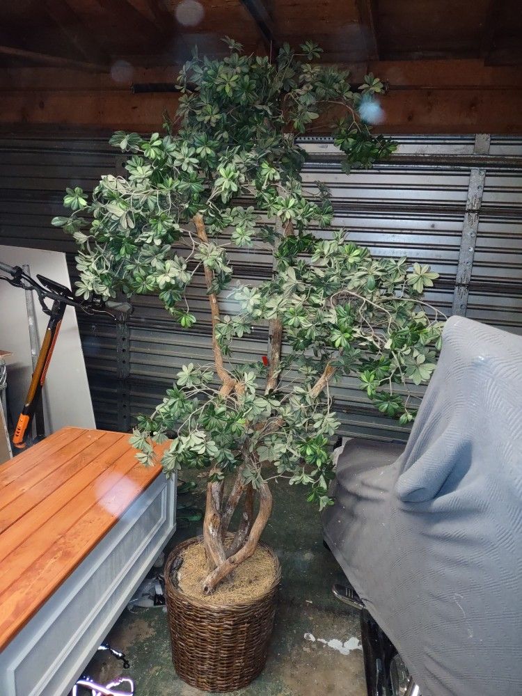 Tall Fake Tree