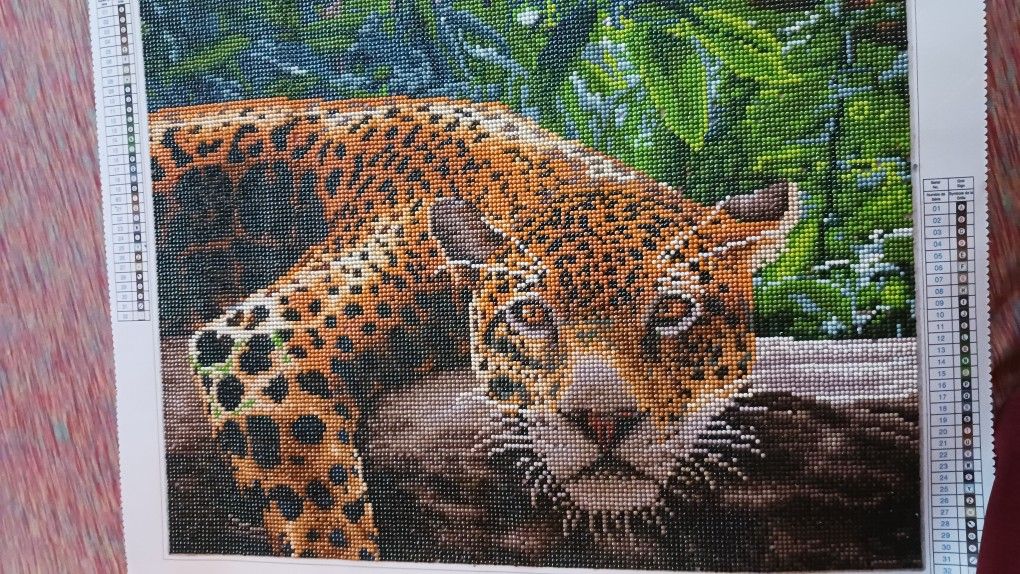 Leopard