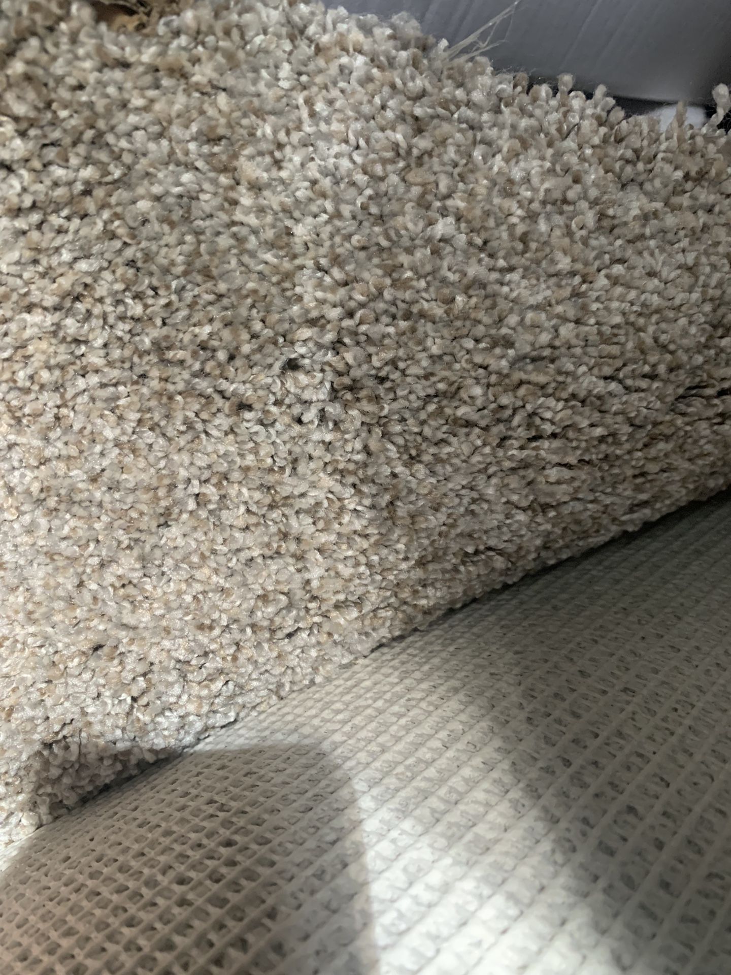 Residential Carpet