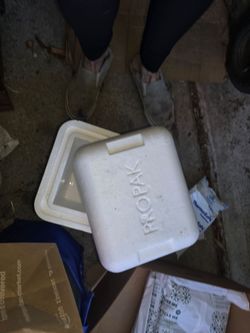 Cooler.plastic containers.misc. https://offerup.com/redirect/?o=bXVncy5JY2U= packs