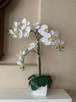 Decoration , Flower