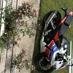 2015 Honda CBR 300cc