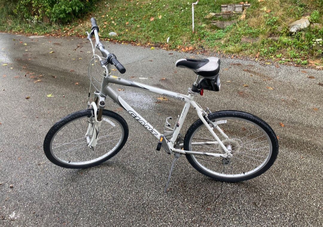 Giant Sedona DX Bike