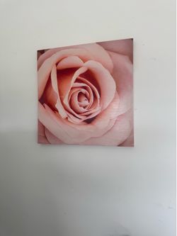 Stupell Industries Pink Cuadro Pintura Rosa
