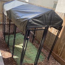 Dog Kennel