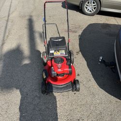Troy Bilt, 5.50