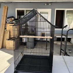 Black Bird Cage