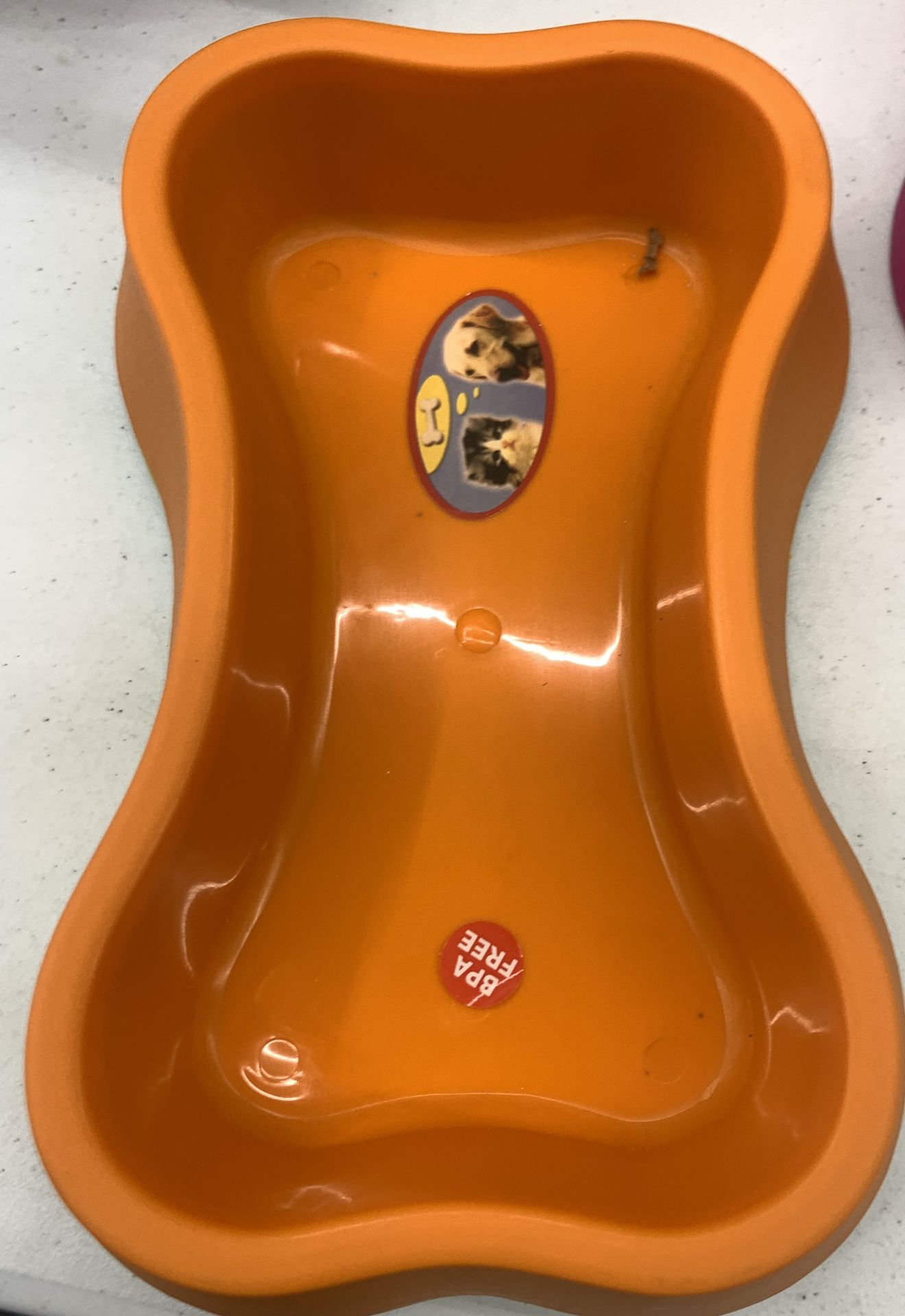 Food Holder For Dogs