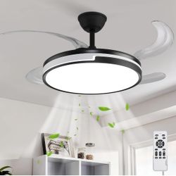 Ceiling fan with light