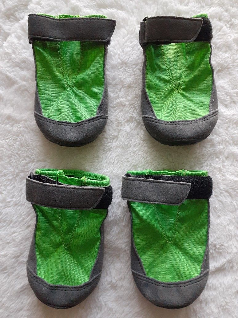 Dog Shoes, Leashes, Collars..