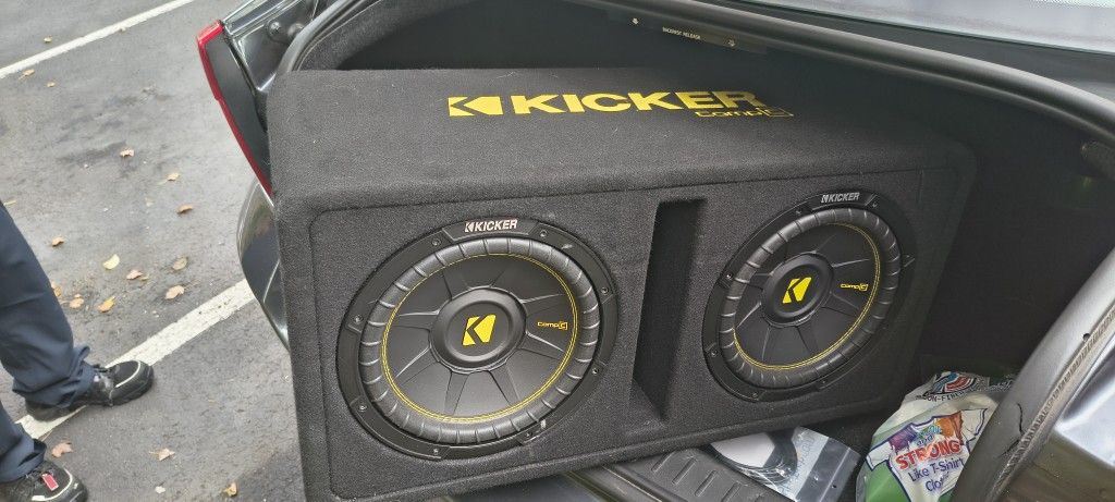 12-in Speakers 1200 W 600 Watt App Roach Kickers