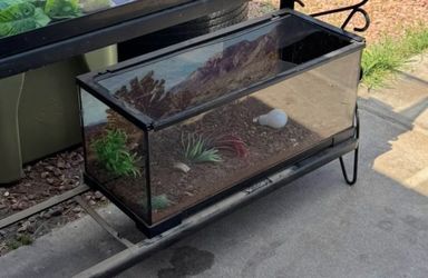 2 small 20 gallon tanks.