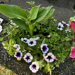 Tall Outdoor Flower Arrangement In Pot