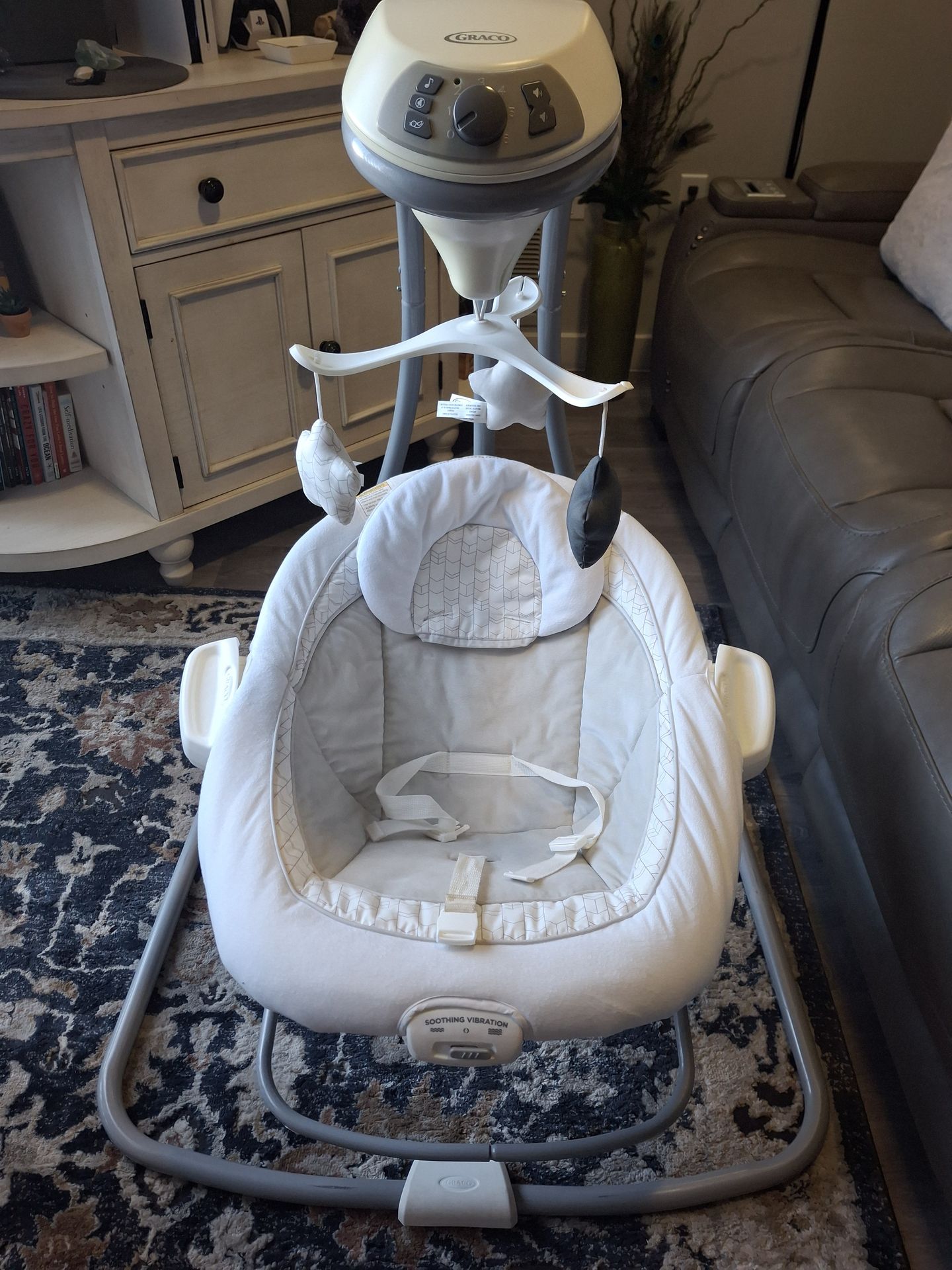 Graco Baby Swing