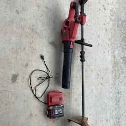 Weed eater And Blower Combo, Battery Failure