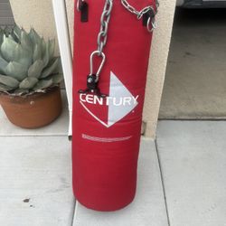 Century Punching Bag