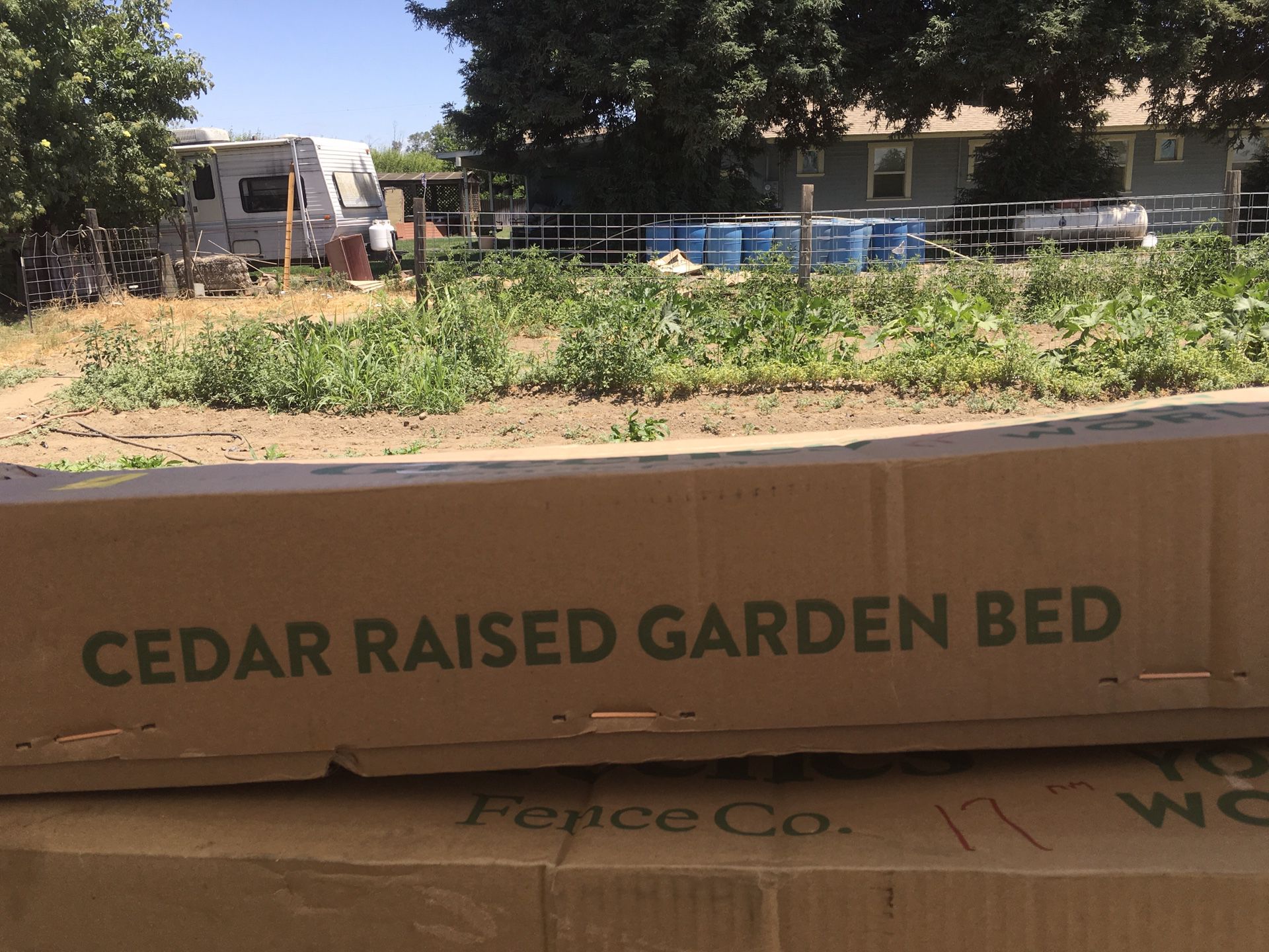 Cedar raised garden bed