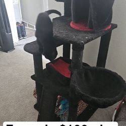 Cat Tower - Gothic