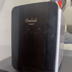 Coolini Mini Fridge 