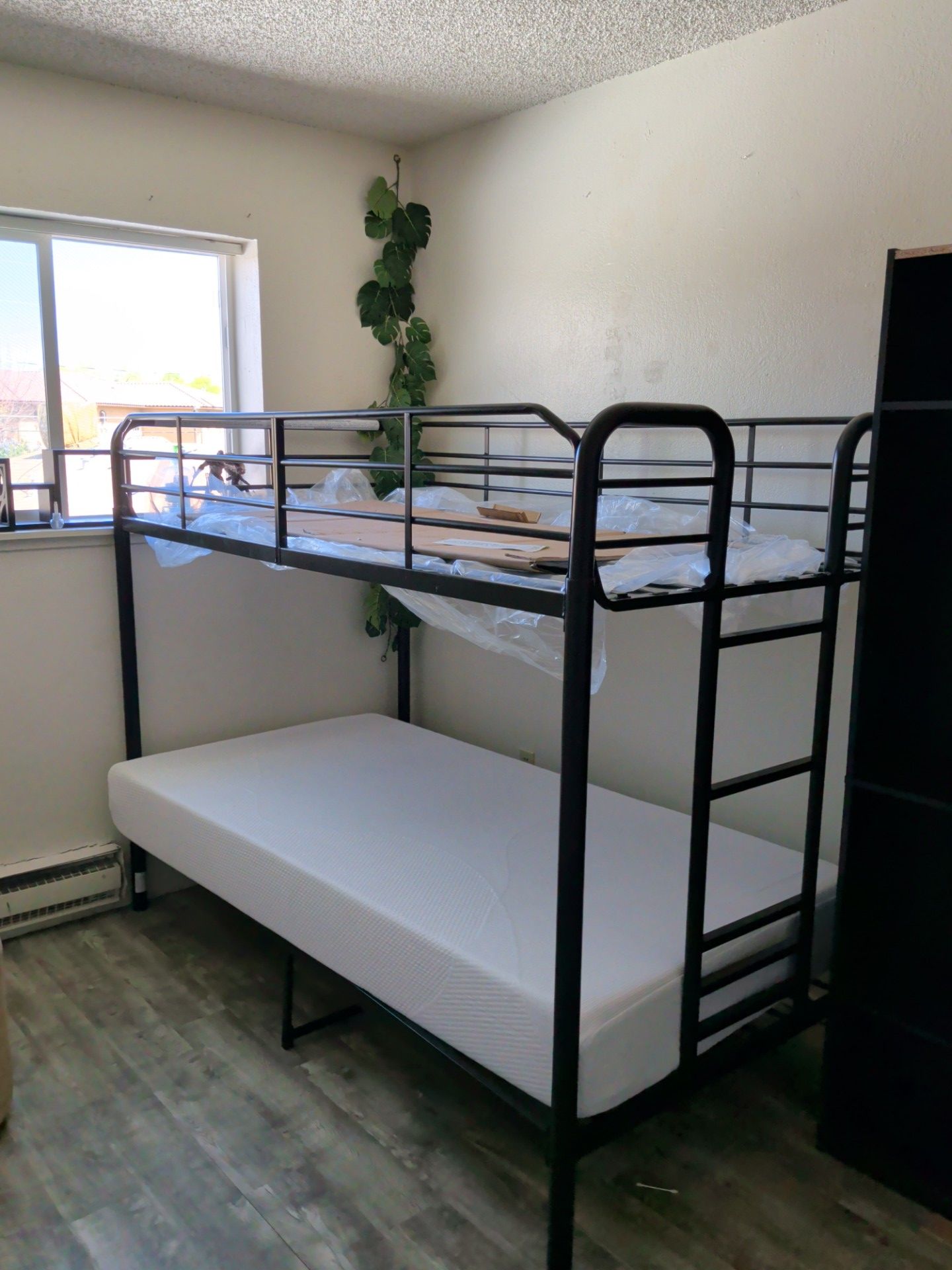 Twin Bedframe and Memory Foam Mattress