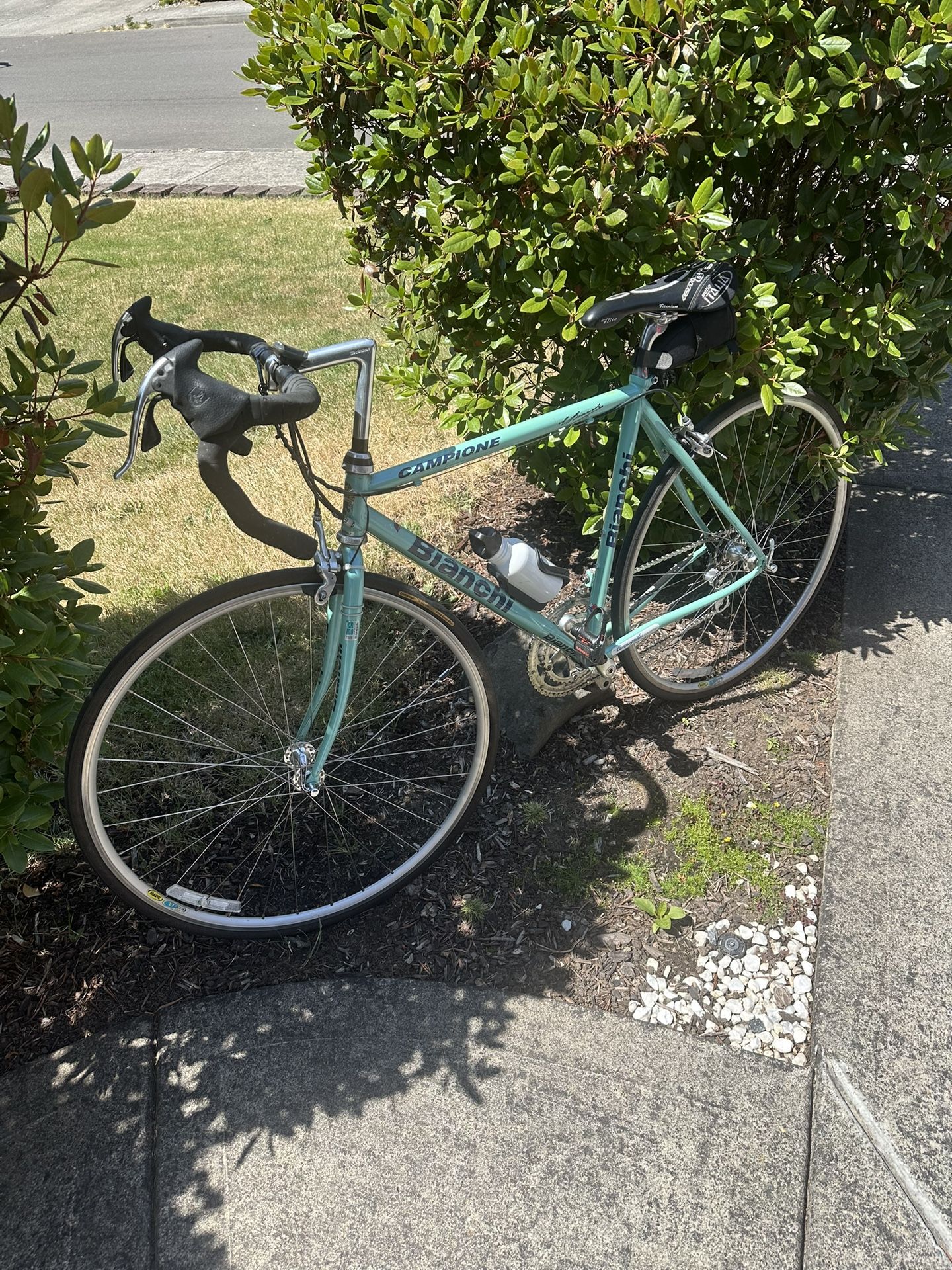 Vintage Bianchi Campione Campagnolo Equipped Made In Italy Road Bike