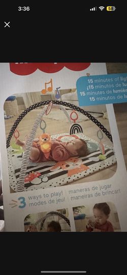 Baby Play Gym