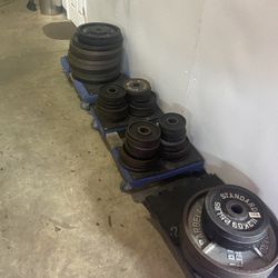 Olympic Plates 