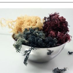 HEALTH IS WEALTH  ORGANIC SEA MOSS   