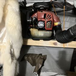 Blower Red Max Ebz7500