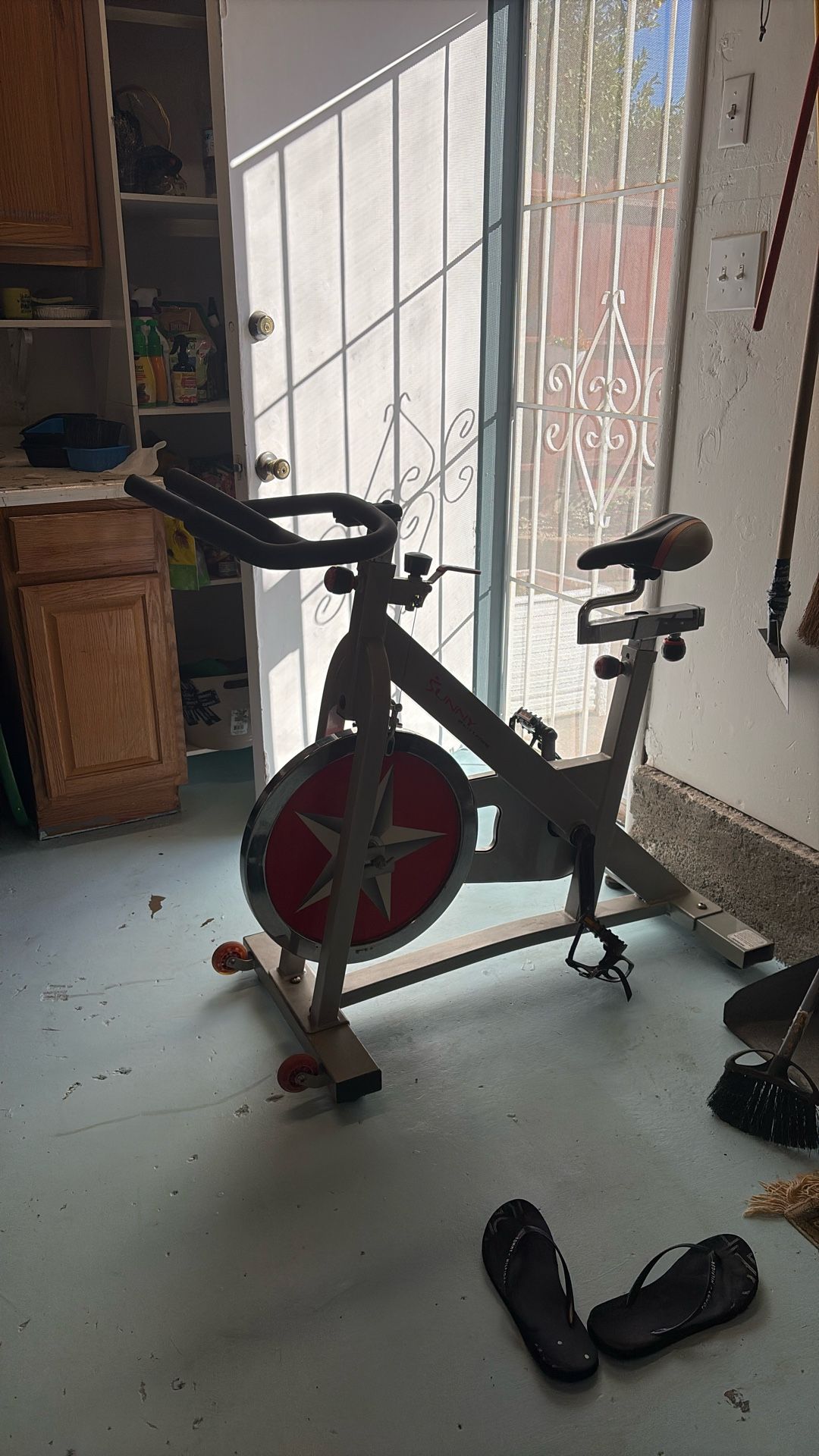 Exercise Bike (Sunny Health & Fitness)