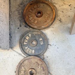 SINGLE 2 X  5 LB WEIGHTS $10 And The 10 LB IS $ $5 