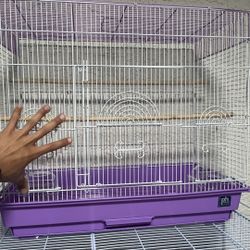 Bird Cage 