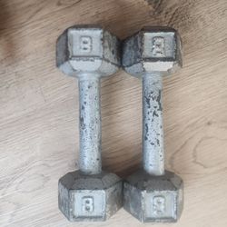 8 Lb Weights