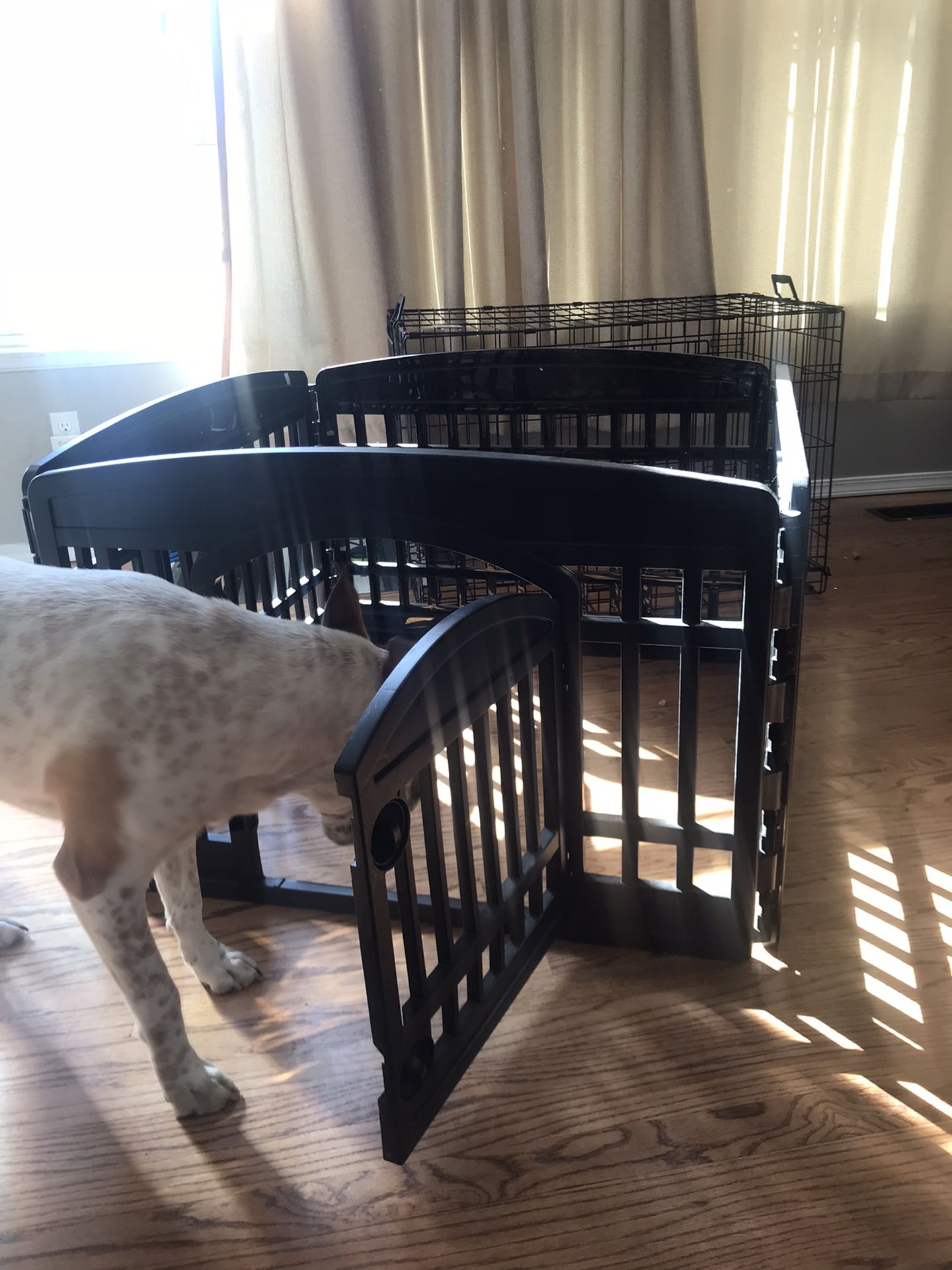 Pending Foldable Puppy Playpen