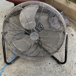 fan