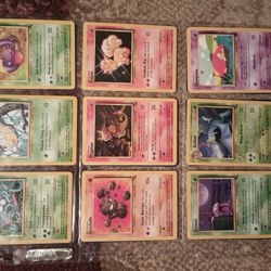 Vintage Holo Pokemon Cards