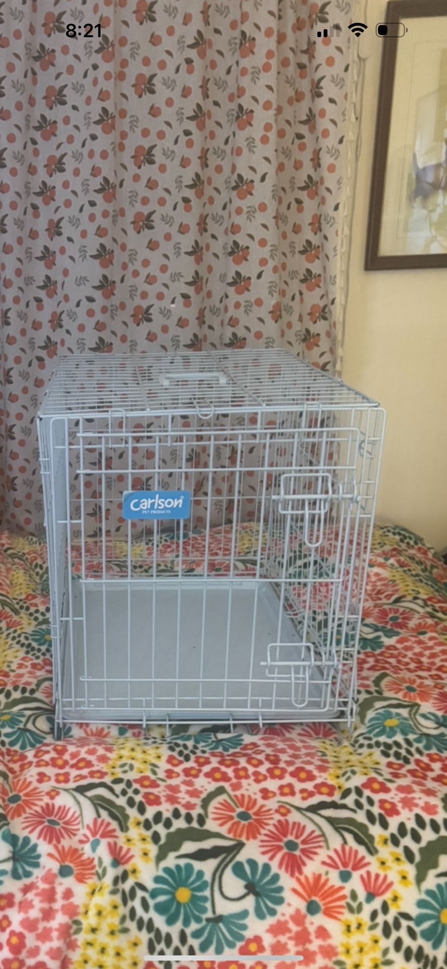 Small Blue Dog Crate