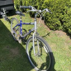 Mountain bike
