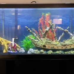 Stand For 120 Gallon Aquarium With Fluval Fx6 Full Led Color Changing Light