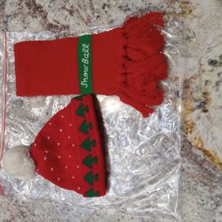 Cute Infant (or Pet?) Scarf & Cap