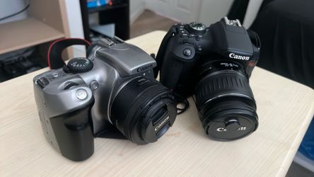Canon Rebel & Rebel t6i